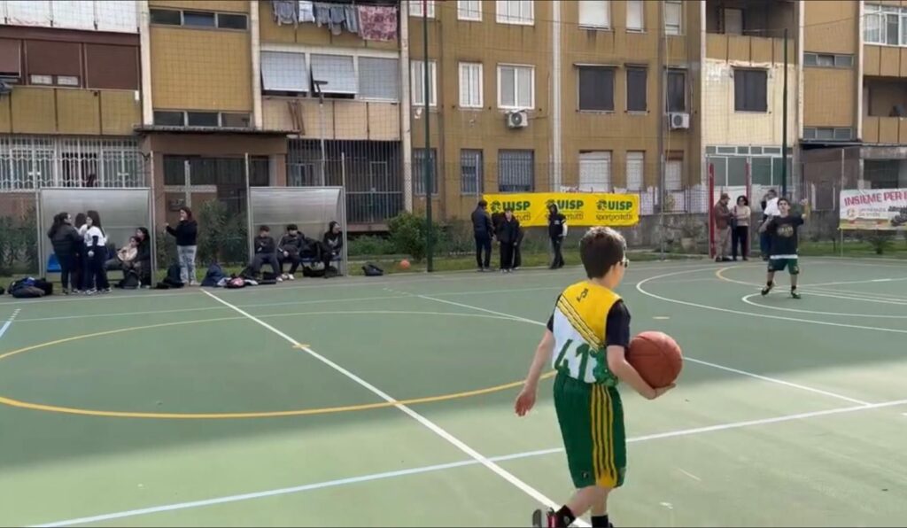 CAIVANO STREET BASKET